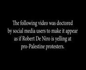 Fact check: Robert De Niro is NOT shouting at pro-Palestinian protesters in viral video from hareem shah video viral