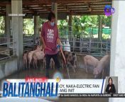 Para iwas-sakit ang mga baboy!&#60;br/&#62;&#60;br/&#62;&#60;br/&#62;Balitanghali is the daily noontime newscast of GTV anchored by Raffy Tima and Connie Sison. It airs Mondays to Fridays at 10:30 AM (PHL Time). For more videos from Balitanghali, visit http://www.gmanews.tv/balitanghali.&#60;br/&#62;&#60;br/&#62;#GMAIntegratedNews #KapusoStream&#60;br/&#62;&#60;br/&#62;Breaking news and stories from the Philippines and abroad:&#60;br/&#62;GMA Integrated News Portal: http://www.gmanews.tv&#60;br/&#62;Facebook: http://www.facebook.com/gmanews&#60;br/&#62;TikTok: https://www.tiktok.com/@gmanews&#60;br/&#62;Twitter: http://www.twitter.com/gmanews&#60;br/&#62;Instagram: http://www.instagram.com/gmanews&#60;br/&#62;&#60;br/&#62;GMA Network Kapuso programs on GMA Pinoy TV: https://gmapinoytv.com/subscribe