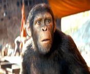 Watch the official final trailer for the science fiction action movie Kingdom of the Planet of the Apes, directed by Wes Ball.&#60;br/&#62;&#60;br/&#62;Kingdom of the Planet of the Apes Cast:&#60;br/&#62;&#60;br/&#62;Owen Teague, Freya Allan, Peter Macon, Eka Darville, Kevin Durand, Kevin Durand and William H. Macy&#60;br/&#62;&#60;br/&#62;Kingdom of the Planet of the Apes will hit theaters May 10, 2024!