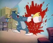Tom & Jerry (1940) - S1940E38 - Mouse Cleaning (576p DVD x264 Ghost) from aunty desiww dvd com