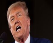 Donald Trump keeps on falling asleep - psychologist says it is 'serious' and a sign of dementia from heidi game tennis games donald cf inc pip