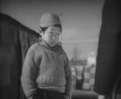 Original title: Nagaya shinshiroku&#60;br/&#62;Synopsis: A young boy follows Tashiro home to his tenement housing complex on the outskirts of Tokyo, the boy who was separated from his carpenter father somehow and somewhere in Kudan. &#60;br/&#62;Genre: Drama, Comedy&#60;br/&#62;Director: Yasujirō Ozu&#60;br/&#62;Top cast: Chōko Iida, Hōhi Aoki, Mitsuko Yoshikawa, Chishū Ryū, Eitarō Ozawa, Reikichi Kawamura, Hideko Mimura