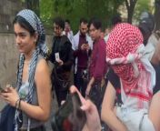 Watch: Anti-Israeli protesters vandalize WWI memorial as cops block group from Met Gala from indian hot barbie anti