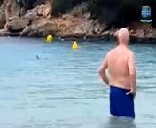 A British family was left &#39;terrified&#39; after being circled by a shark just off a beach at a popular holiday resort in Spain.&#60;br/&#62;&#60;br/&#62;Holidaymaker Jessica Kenny, 27, was paddling in the sea at Playa Arenal d&#39;en Castell, Menorca, with her four-year-old son when she spotted a shark that came &#39;zig-zagging&#39; toward them. &#60;br/&#62;&#60;br/&#62;She quickly realized it was following her dad, Darren, 57, who was swimming ahead toward some buoys, on Monday.&#60;br/&#62;&#60;br/&#62;Passers-by began screaming and calling for the lifeguard - who dialed for backup and put the red flags out.&#60;br/&#62;&#60;br/&#62;Children were hurriedly evacuated from the sea, but others were allowed to come close enough to video the shark.&#60;br/&#62;&#60;br/&#62;Jessica, a GP receptionist from Liverpool, said: &#39;I was only up to my waist with my little boy - while my dad had swam ahead.&#60;br/&#62;&#60;br/&#62;&#39;We were laughing and joking because it was cold.&#60;br/&#62;&#60;br/&#62;&#39;Then we saw a weird thing sticking out the water - we were joking around, saying it must be a shark.&#60;br/&#62;&#60;br/&#62;&#39;But we didn&#39;t believe it.&#60;br/&#62;&#60;br/&#62;&#39;It was quite strange, zig-zagging around us.&#60;br/&#62;&#60;br/&#62;&#39;As it came closer, we realized the thing sticking out of the water was a fin.&#60;br/&#62;&#60;br/&#62;&#39;We were like, &#39;Oh my god - that&#39;s a shark&#39;.&#39;&#60;br/&#62;&#60;br/&#62;The mum-of-two ran out of the water with her son - while others on the beach laughed.&#60;br/&#62;&#60;br/&#62;But Jessica realized the shark - believed to be a blue shark - was heading towards Darren, who&#39;d started swimming back to the beach.&#60;br/&#62;&#60;br/&#62;She said: &#39;We&#39;d lost sight of it after we turned around.&#60;br/&#62;&#60;br/&#62;&#39;But we saw it was following my dad back to the beach. It was circling him - but it wasn&#39;t going for him if that makes sense.&#60;br/&#62;&#60;br/&#62;&#39;Honestly, it was so scary, but my dad loves everything to do with the sea.&#60;br/&#62;&#60;br/&#62;&#39;When we were back on the beach, he was so excited.&#39;&#60;br/&#62;&#60;br/&#62;Jessica and Darren tried to calm her son down - who was &#39;a bit upset and worried&#39; after the ordeal.&#60;br/&#62;&#60;br/&#62;&#39;My dad told him how lucky he was to have seen a shark at four years old,&#39; she added. &#39;In all his 57 years, he&#39;d never seen one.&#60;br/&#62;&#60;br/&#62;&#39;They decided to name it Freddie.&#39;&#60;br/&#62;&#60;br/&#62;The family left the beach at 4:35 pm, an hour after the shark was first spotted - and the lifeguards were still trying to chase it out.&#60;br/&#62;&#60;br/&#62;Darren, a lorry driver, said: &#39;It was such a surreal experience.&#60;br/&#62;&#60;br/&#62;&#39;I&#39;ve always wanted to see a shark - even going snorkeling in Jamaica and Cuba just so I could spot one.&#60;br/&#62;&#60;br/&#62;&#39;I can&#39;t believe I swam with one in Menorca, with my daughter and grandson.&#39;&#60;br/&#62;&#60;br/&#62;The shark sighting is believed to be the first so far this year near a Costa beach.&#60;br/&#62;&#60;br/&#62;A shark was spotted on the same beach in June 2018 when swimmers were also banned from entering the water for the entire afternoon. &#60;br/&#62;