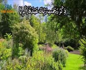surah maryam &#124; calming Recitation Of Surah Maryam With Urdu Translation inspired by qari abdul basit&#60;br/&#62;by 786 cuisine&#60;br/&#62;surah Maryam Beautiful Recitation Of Surah Maryam With Urdu Surah Maryam A tribute to Qari Basit With Urdu Translation by 786 cuisine surah Maryam urdu tarjuma ke sath &#60;br/&#62;سورہ مریم اردو ترجمہ کے ساتھ ‎سورة مريم&#60;br/&#62;Maryam is the 19th chapter of the Qur&#39;an with 98 verses. The 114 chapters in the Quran are roughly ordered by size. Position: Juzʼ 16 No. of verses: 98 No. of letters: 3835 No. of words: 972 No. of Rukus: 6 No. of Sajdahs: 1 (Ayah 58) Opening muqaṭṭaʻāt: 5 Kaaf Ha Ya Ain Saad (كهيعص) &#60;br/&#62;When you look in the mirror, read this dua: God bless you. O Allah, you have liked me well, so my behavior (morality) is recited in Surah Maryam, so prostration is obligatory, and Maryam is one of the 19th and Meccan surahs of the Qur&#39;an and is located in the 16th verse. The story of Maryam is narrated in this Surah, that&#39;s why Hazrat named it &#92;