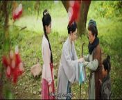 Blossoms in Adversity ep 5 chinese drama eng sub