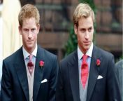 Prince Harry and Prince William both invited to Hugh Grosvenor’s wedding from harry potter movies