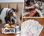 A boozer has been crowned the &#39;best pub for dogs&#39; - thanks to its library of sticks and two dedicated menus for pooches.&#60;br/&#62;&#60;br/&#62;The Bellflower in Garstang, Lancs., won the accolade at the Great British Pub Awards this week for the second year running.&#60;br/&#62;&#60;br/&#62;The family-run boozer began catering to four-legged friends five years ago and now offers a huge range of treats to keep them well-watered and entertained.&#60;br/&#62;&#60;br/&#62;This includes an ‘A La Barke’ menu, which has sausages, burgers, and even shrimp on the menu, with portions ranging from &#39;Teacup&#39; to &#39;Great Dane&#39;.&#60;br/&#62;&#60;br/&#62;Owners can also pour their thirsty pets a dog-friendly beer, wine, and gin at one of TWO dog bars located in and outside of the pub.&#60;br/&#62;&#60;br/&#62;And the venue even has a separate Sunday food menu for &#39;really good boys and girls,&#39; where dogs can enjoy a roast as well as their humans.&#60;br/&#62;&#60;br/&#62;Announcing the news on social media, manager Heather Porter-Brandwood said: “We WON! The Bellflower are OFFICIALLY the Nations BEST Pub for Dogs 2023!”&#60;br/&#62;&#60;br/&#62;The pub was named the best for dogs by the Great British Pub Awards in 2022 - after receiving three nominations in a row.&#60;br/&#62;&#60;br/&#62;And following their win at the awards ceremony in Manchester on Tuesday (Sept 19), they&#39;ve now cemented themselves as a prime pet-friendly hub.&#60;br/&#62;&#60;br/&#62;Heather, 35, previously said about being in the running: “To be recognised and make it to the finalist stage again is just brilliant.&#60;br/&#62;&#60;br/&#62;&#92;