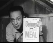 1960s Don Knotts Gaines dog food. don Knotts is sticking his head into the dog house, and trying to convince the pooch to try the new dog food. As Don is leaving the dog house, he sees that his personal photo hanging on the wall is askew. He straightens it.