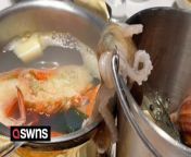 A customer had an unexpected dinner companion - when an octopus tried to escape from her seafood bucket.&#60;br/&#62;&#60;br/&#62;Ms Liu was having dinner at a hot pot restaurant in Beijing, China, when the live mollusc tried to climb out of the bucket.&#60;br/&#62;&#60;br/&#62;A video shows the octopus retreating back into the bucket after its tentacle dipped into the boiling broth. &#60;br/&#62;&#60;br/&#62;The octopus was not supposed to be eaten as-is but made a daring escape from a bucket of ingredients waiting to be used. &#60;br/&#62;&#60;br/&#62;Hot pot, a traditional Chinese meal, involves diners cooking a variety of ingredients themselves in a pot of boiling broth. &#60;br/&#62;&#60;br/&#62;The video was filmed on January 21.