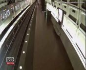 A wayward deer was recently seen traipsing through a metro station in Virginia. The animal leaps between the tracks and the platform in the bizarre video from the station, located just outside Washington D.C. One commuter is buried in his phone and doesn&#39;t appear to notice at first.