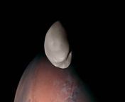 UAE Space Agency Emirates Mars Mission (EMM) Hope probe captured high-resolution image of Mars&#39; moon Deimos. The spacecraft flew &#92;