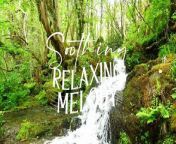 Mellow Relaxation Music - Serene Melodies for Deep Meditation, Stress Reduction, Sleep Aid from kahin deep jale episode 21