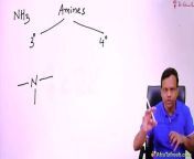 Tertiary and quaternary amines ANS from mahi ans video