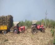 How to pull out stuck loaded sugarcane trolley from arjun all english song