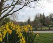 Leeds parks will be the focus of a council meeting on Thursday 21st March as a rising number now meet strict quality standards. 77 per cent of green spaces, which is 50 out of 65 community parks, now meet the ‘Leeds Quality Park’ standard, compared with 22 per cent in 2010.