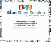 We provide Quick &amp; Easy website design service. We are one of leading Website Design Winnipeg and development specialist.&#60;br/&#62;http://www.bluesharksolution.ca