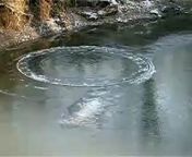Either this creek circle in Rattray Marsh leads to another space/time dimension, or it leads to the bottom of the creek where youll get all wet.