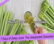 7 Days of Celery Juice The Unexpected Outcomes from go juice wrld