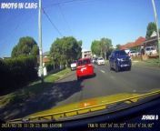 idiots in cars on roads