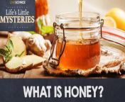 You drink it in your tea and spread it on your bread, but what is honey, really?