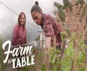 Aired (April 14, 2024): With a huge following of fellow gardeners, Nanay Haydee Escobañez talks about how she was inspired to get into the world of content creation.&#60;br/&#62;&#60;br/&#62;Join our exciting food exploration and learn the process of food preparation with Chef JR Royol. Catch &#39;Farm to Table&#39; every Sunday on GTV.