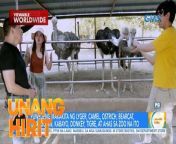 Ngayong holiday, papasyal yauo sa isang zoo sa Rizal para kumustahin ang summer ng mga hayop! Panoorin ang video.&#60;br/&#62;&#60;br/&#62;Hosted by the country’s top anchors and hosts, &#39;Unang Hirit&#39; is a weekday morning show that provides its viewers with a daily dose of news and practical feature stories.&#60;br/&#62;&#60;br/&#62;Watch it from Monday to Friday, 5:30 AM on GMA Network! Subscribe to youtube.com/gmapublicaffairs for our full episodes.&#60;br/&#62;