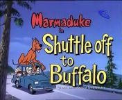 Heathcliff And Marmaduke - Shuttle Off To Buffalo - Crazy Daze - Missy Mistique ExtremlymTorrents from bangle daze video