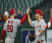 Angels Show Competence with Strong Performance Against Rays from ambika ray volpaiyan