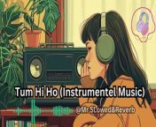 **Tum Hi Ho - Aashiqui 2 &#124; Instrumental Cover** &#60;br/&#62;&#60;br/&#62;Immerse yourself in the soul-stirring magic of &#92;