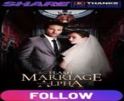 Flash Marriage With My Alpha Part 1 from marriage type love