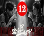 哈尔滨一九四四12 - In the Name of the Brother 2024 Ep12 Full HD from bangla movie name jadrel