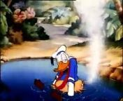 Mickey Mouse Donald Duck DingoHawaiian Holiday from doritosmega15 mickey