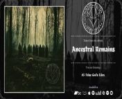 [Gender]: Atmospheric/Symphonic Black Metal&#60;br/&#62;[Country]: Poland&#60;br/&#62;[Released]: March 27, 2024&#60;br/&#62;[Label]: Independent&#60;br/&#62;&#60;br/&#62;[TrackList]&#60;br/&#62;&#60;br/&#62;01. Pennants Of Past. [00:00]&#60;br/&#62;02. Hack And Hollar. [04:22]&#60;br/&#62;03. False God&#39;s Eden. [09:54]&#60;br/&#62;04. Czarny Kruk. [15:19]&#60;br/&#62;05. Prochy Przodków. [19:48]&#60;br/&#62;06. Konaj, Już Konaj! [24:10]&#60;br/&#62;07. Poisonous Blood. [29:06]&#60;br/&#62;&#60;br/&#62;[Total Playing Time]: 35:34&#60;br/&#62;&#60;br/&#62;⛧ ⛧ ⛧ ⛧ ⛧ ⛧ ⛧ ⛧ ⛧ ⛧&#60;br/&#62;&#60;br/&#62;[Link To Buy The CD or DIGITAL ALBUM]&#60;br/&#62;&#60;br/&#62;◈Amazon: https://amzn.to/49QW3EK&#60;br/&#62;◈BandCamp: https://moonmurkvengeance.bandcamp.com/album/ancestral-remains&#60;br/&#62;◈Apple Music: https://music.apple.com/us/artist/moon-murk-vengeance/1741946449&#60;br/&#62;◈Qobuz: https://www.qobuz.com/us-en/interpreter/moon-murk-vengeance/21915726&#60;br/&#62;◈Tidal: https://tidal.com/browse/artist/46689321&#60;br/&#62;◈Spotify: https://open.spotify.com/intl-es/album/4VDhu7x5KseLwWzp1b65Bs&#60;br/&#62;◈Deezer: https://www.deezer.com/en/album/565421782&#60;br/&#62;◈YouTube: https://www.youtube.com/@moonmurkvengeance&#60;br/&#62;◈YouTube Music: https://music.youtube.com/playlist?list=OLAK5uy_nWR00cTg_idDnAgjcj_vr8eDSETJHng9I&#60;br/&#62;&#60;br/&#62;--- --- --- --- --- &#60;br/&#62;&#60;br/&#62;[Moon Murk Vengeance]&#60;br/&#62;https://linktr.ee/m.m.v&#60;br/&#62;moonmurkvengeance@mailfence.com&#60;br/&#62;https://twitter.com/MoonMurkV&#60;br/&#62;https://www.facebook.com/moonmurkvengeance&#60;br/&#62;https://www.instagram.com/moonmurkvengeance/&#60;br/&#62;https://www.metal-archives.com/bands/Moon_Murk_Vengeance/&#60;br/&#62;&#60;br/&#62;⛧ ⛧ ⛧ ⛧ ⛧ ⛧ ⛧ ⛧ ⛧ ⛧&#60;br/&#62;&#60;br/&#62;[Invite me to a beer]&#60;br/&#62;[Support the promotion]&#60;br/&#62;&#60;br/&#62;https://paypal.me/MetalSanctvary&#60;br/&#62;&#60;br/&#62;[Metal Sanctuary Promotion]&#60;br/&#62;◈metalsanctvary@gmail.com&#60;br/&#62;◈https://linktr.ee/metalsanctuary&#60;br/&#62;&#60;br/&#62;*Upload with permission of Moon Murk Vengeance.&#60;br/&#62;&#60;br/&#62;⛧ ⛧ ⛧ ⛧ ⛧ ⛧ ⛧ ⛧ ⛧ ⛧&#60;br/&#62;&#60;br/&#62;#atmosphericsymphonicblackmetal #atmosphericblackmetal #symphonicblackmetal #blackmetal #metal #metalpromotion #metalsanctuarypromotion #MoonMurkVengeance #polandmetal