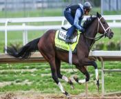 Kentucky Derby Odds: Horses to Watch in the Upcoming Race from racing font generator