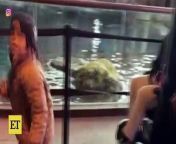 Inside Nicki Minaj&#39;s Son&#39;s EPIC Day at Aquarium