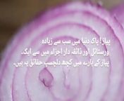 Interesting Facts about Onions&#60;br/&#62;Onions! One of the most versatile and flavorful ingredients in the culinary world. Here are some interesting facts about onions:&#60;br/&#62;&#60;br/&#62;- Onions are a part of the Allium family, which also includes garlic, leeks, and chives.&#60;br/&#62;&#60;br/&#62;- There are over 700 varieties of onions, ranging in color, shape, and flavor.&#60;br/&#62;&#60;br/&#62;- Onions are a great source of fiber, vitamins, and minerals, making them a healthy addition to your diet.&#60;br/&#62;&#60;br/&#62;- The strong, pungent flavor of onions comes from a compound called allicin, which is released when the onion is chopped or crushed.&#60;br/&#62;&#60;br/&#62;- Onions have been used for centuries for their medicinal properties, including reducing inflammation and fighting off bacteria and viruses.&#60;br/&#62;&#60;br/&#62;- The ancient Egyptians believed onions had spiritual significance and placed them in the tombs of pharaohs to protect them in the afterlife.&#60;br/&#62;&#60;br/&#62;- Onions can be used in a variety of dishes, from savory soups and stews to sweet caramelized onions and crispy onion rings.&#60;br/&#62;&#60;br/&#62;- The world&#39;s largest onion producer is China, accounting for over 25% of global production.&#60;br/&#62;&#60;br/&#62;Whether you enjoy them raw, cooked, or caramelized, onions add a depth of flavor and texture to many dishes.&#60;br/&#62;&#60;br/&#62;#interestingfacts #interestingfactsaboutonions #interestingfact #facts #factsaboutonions #onions #onionsfacts #informationhub #infohub #informativevideos #informativevideo #information #hub #search #viral #viralvideo &#60;br/&#62;