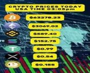 Bitcoin &amp; Dogecoin news today, Crypto Currency price Today