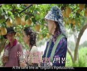 Queen of Tears (2024) Special 1 Episode 16.1 English sub