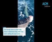 Dave Boyes and mates sailed from Batemans Bay to Far North Queensland and back over the course of a two-year journey. This encounter with a friendly dolphin was just one of many incredible experiences they had