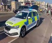 Police dogs and armed officers at the scene of an incident outside Brighton Palace Pier. It reportedly came after a child was reported missing.
