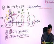 Anti micribial drugs \ \Protien synthesis inhibitor \ \pharmacology \ \MBBS 2nd year from anti shree video download
