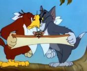 Tom And Jerry - Flirty Birdy