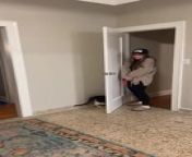 Lux, the 10-year-old cat, loved playing hide-and-seek with his owner. Every time his owner hid behind walls or doors, he would smartly creep up on them before one of them frightened the other.