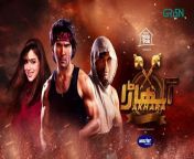 Akhara Episode 22 Feroze Khan Digitally Powered By Master Paints Presented By Milkpak from treehouse masters